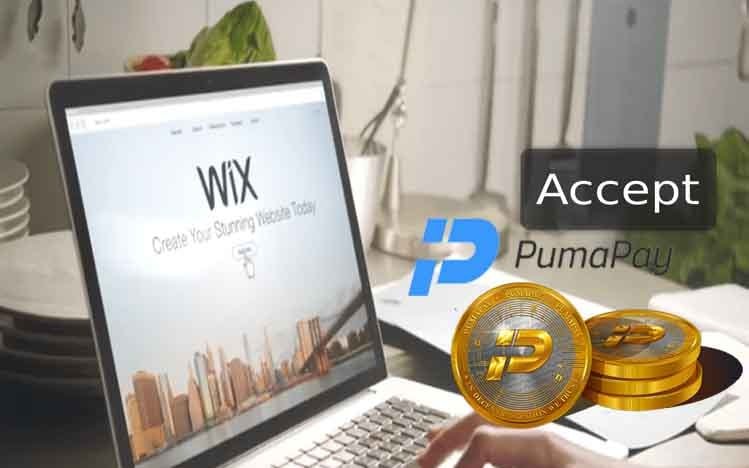 Pumapay