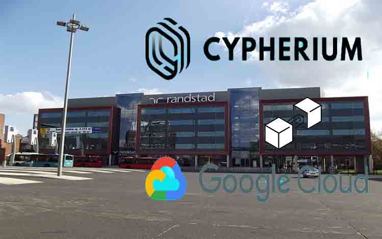 Cypherium