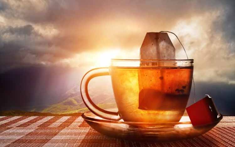 a tea company from china decide to Crypto Mining Business