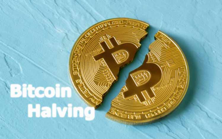 what is Bitcoin Halving