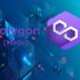 What is Polygon (Matic)