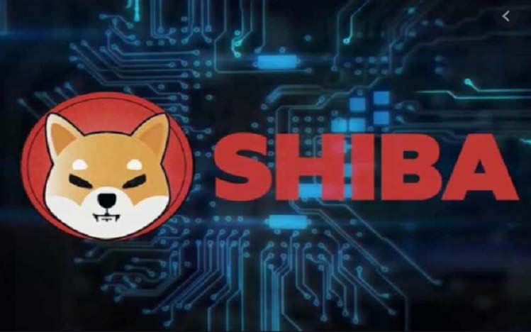 What is Shiba Inu