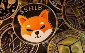 Shiba Inu Coin