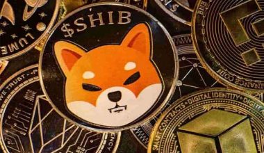 Shiba Inu Coin