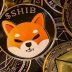 Shiba Inu Coin