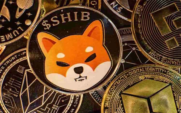 Moneda Shiba Inu