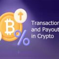 Transaction Fees and Payouts