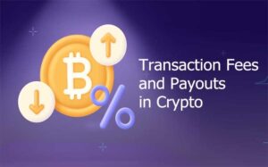 Transaction Fees and Payouts