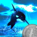 Whale Litecoin
