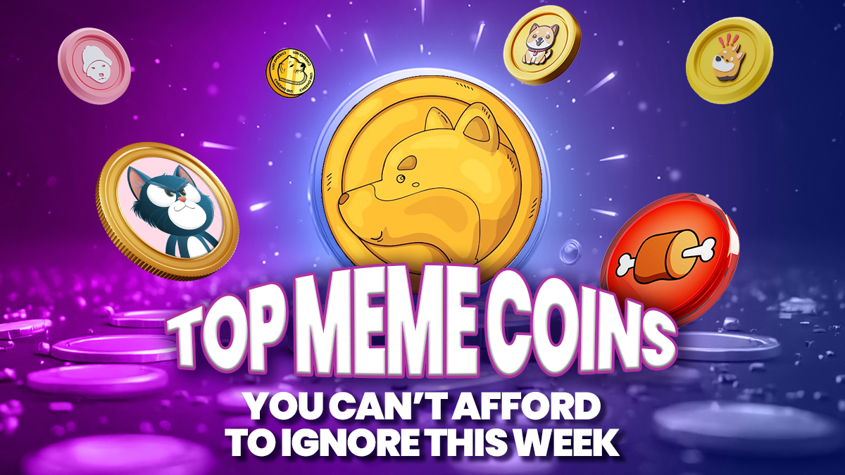 3 Coins to Invest in Today: Bonk, Brett, and a Cat About to Embark on a 10K% ROI Journey