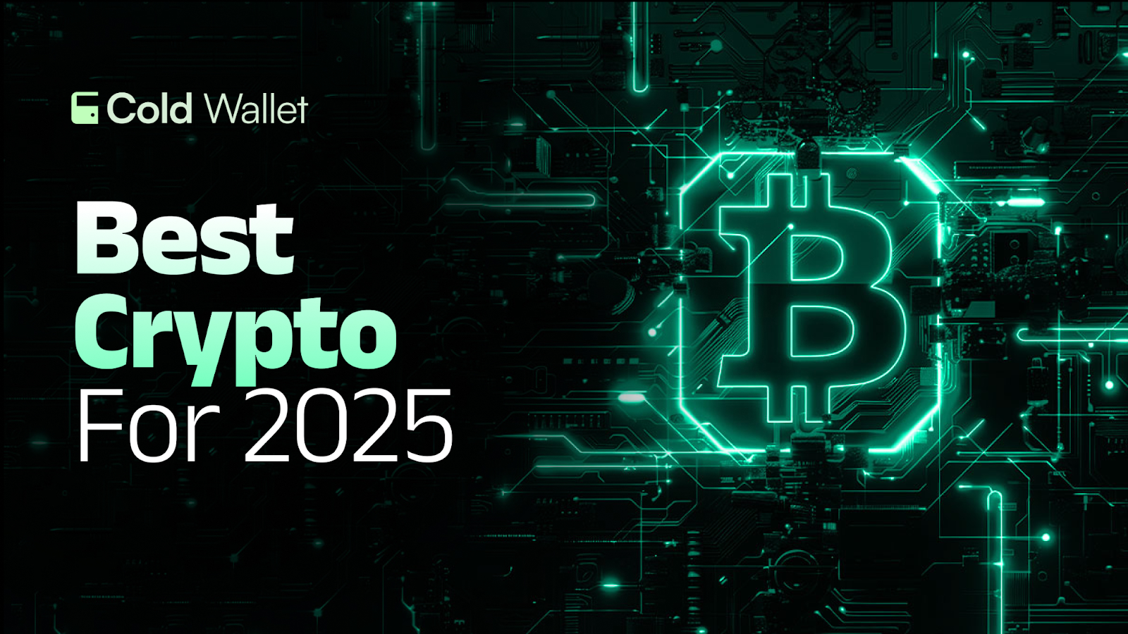 Top Crypto Coins to Invest in Now: RNDR, LINK, HYPE, Cold Wallet