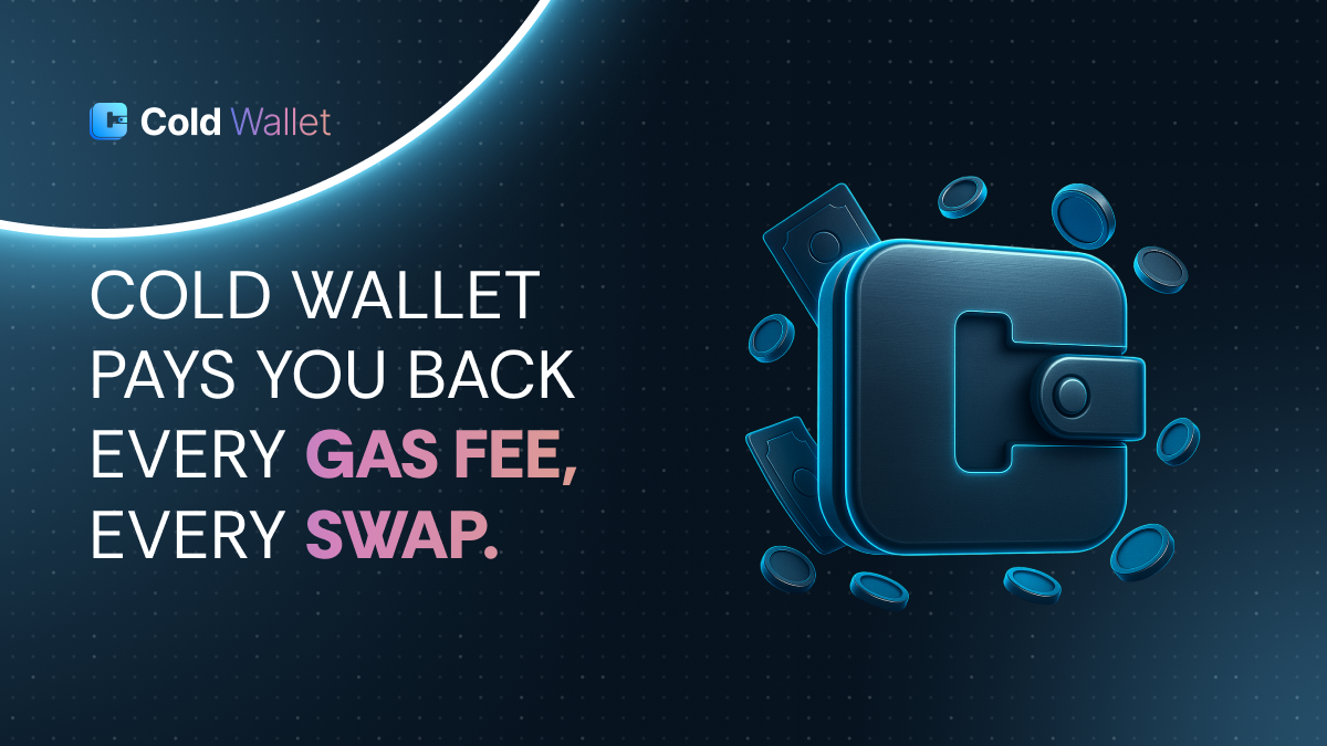 XRP, Stellar, or Cold Wallet: Which One Pays You Back?