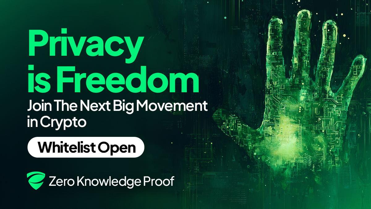 The $100M Bet: Zero Knowledge Proof (ZKP) Is Doing What DOGE & LTC Can't, Solving Enterprise Privacy